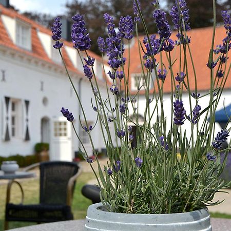 مبيت وإفطار Haelen Kasteel Aldenghoor المظهر الخارجي الصورة
