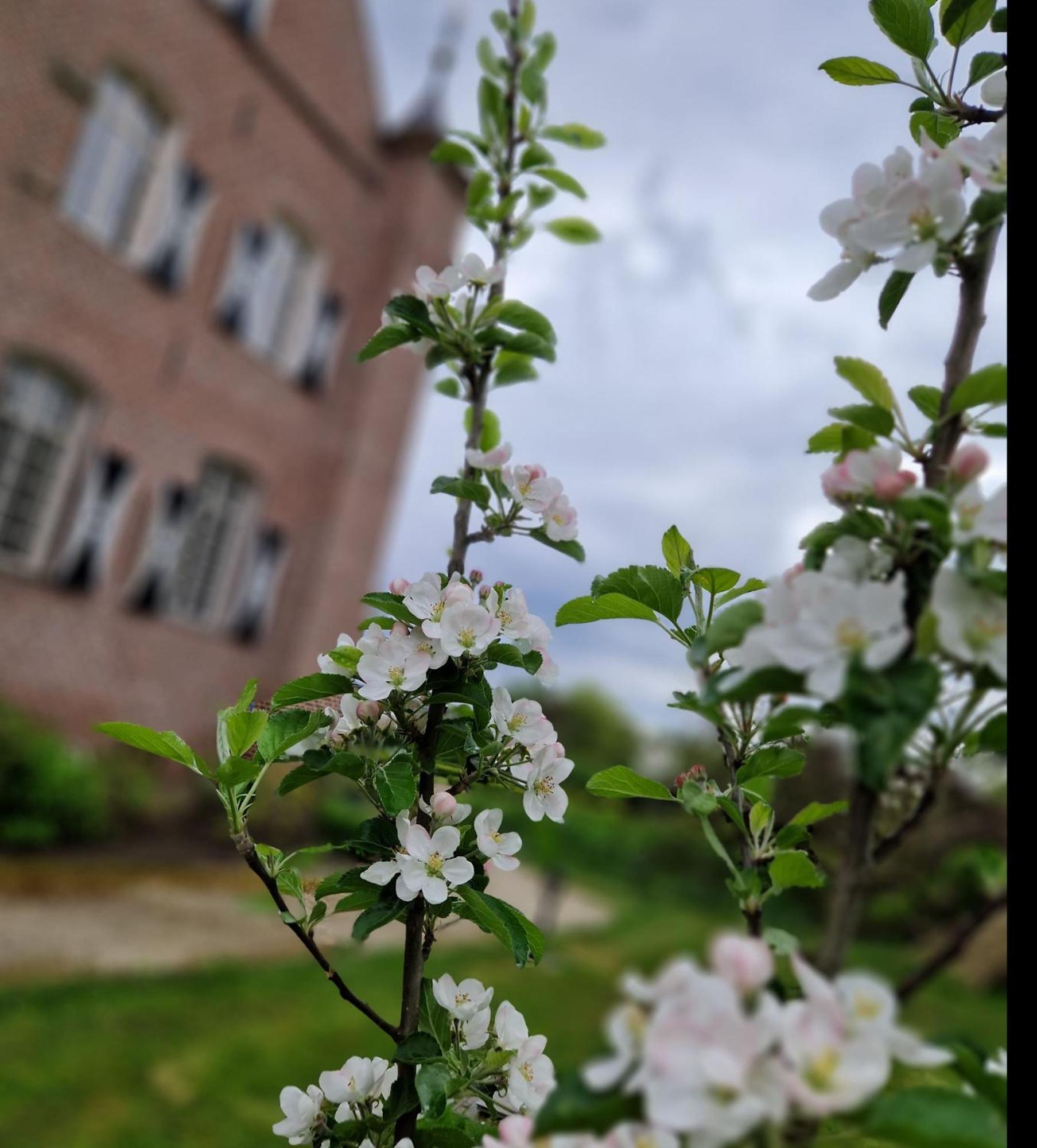 مبيت وإفطار Haelen Kasteel Aldenghoor المظهر الخارجي الصورة
