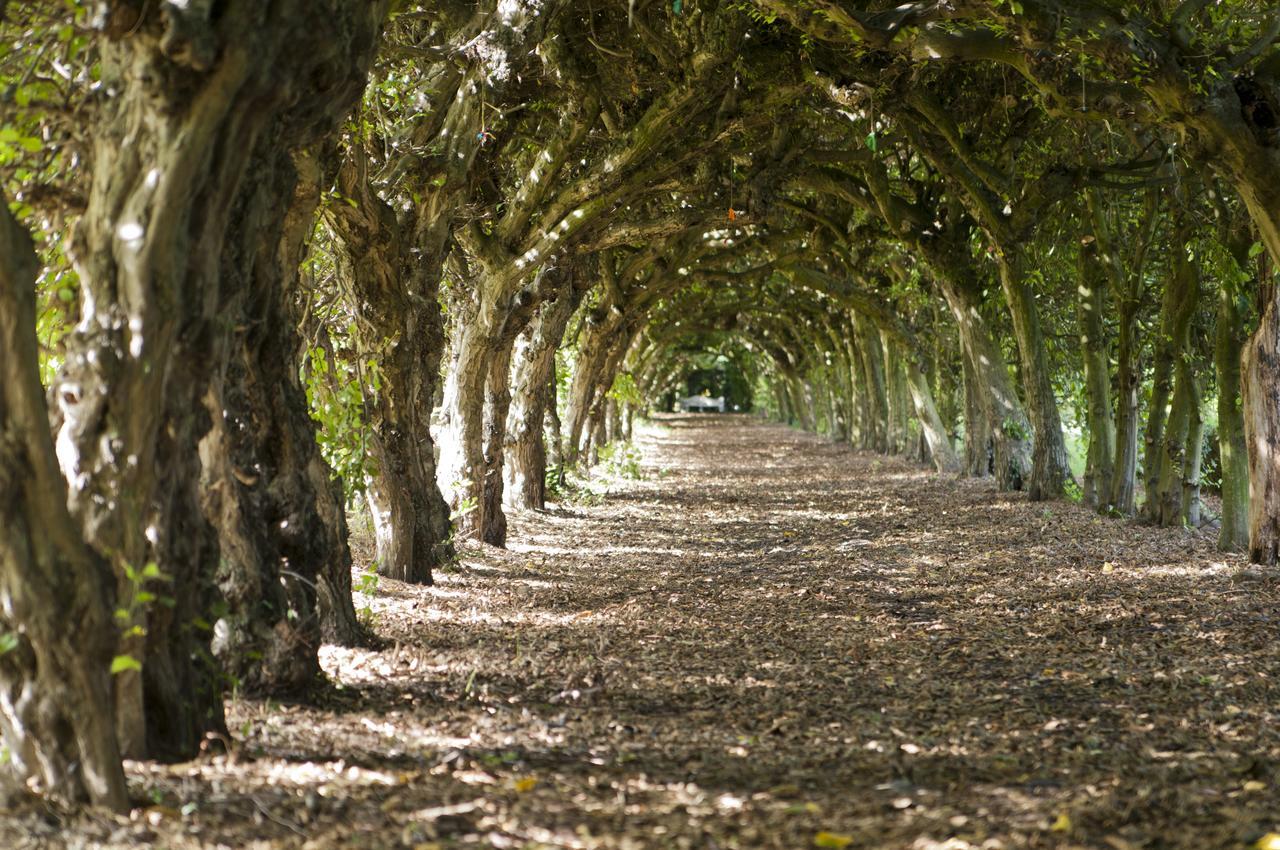 مبيت وإفطار Haelen Kasteel Aldenghoor المظهر الخارجي الصورة